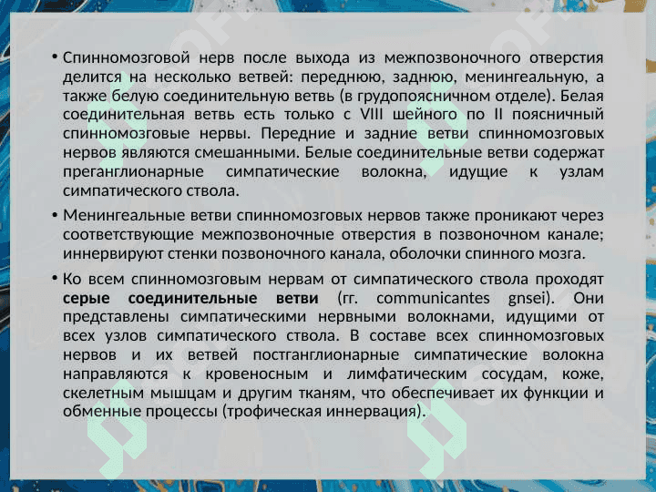 Функциональная анатомия периферической нервной системы. 7