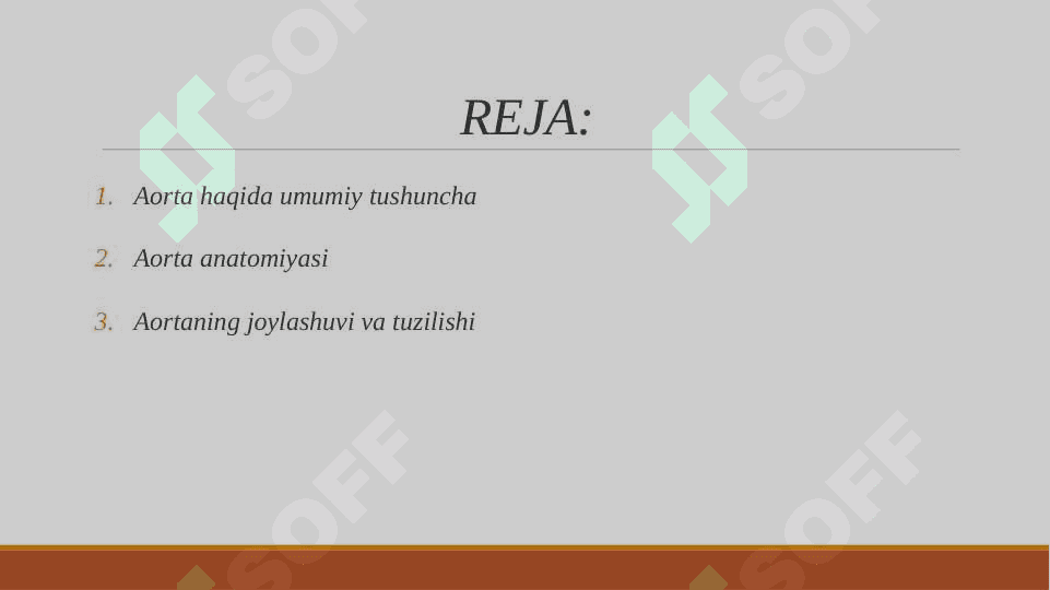 Aorta 2