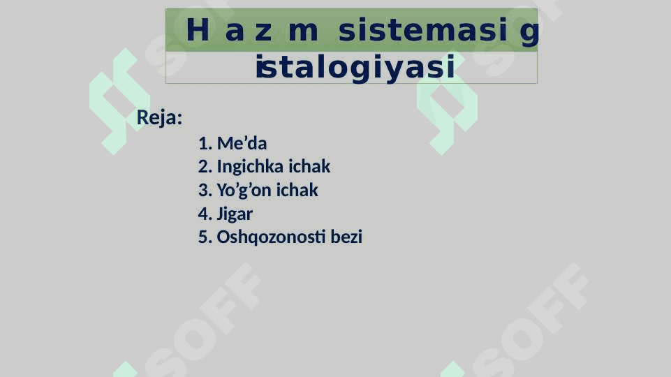 Hazm sistemasi gistalogiyasi 2