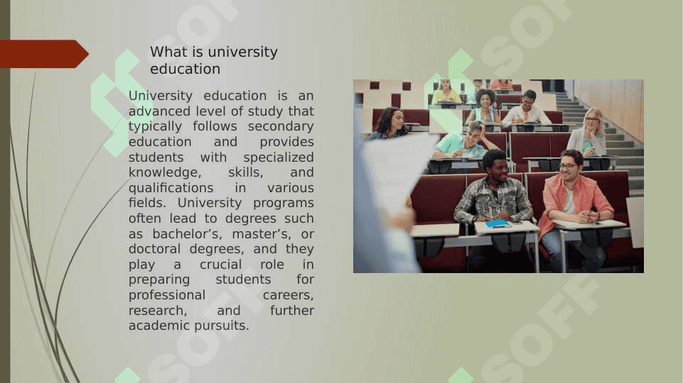 EDUCATION IN UNIVERSITY 3