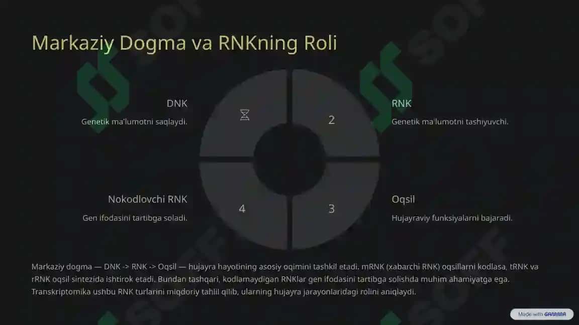 Transkriptomika Gen Ifodasi Sirlarini Ochish 3