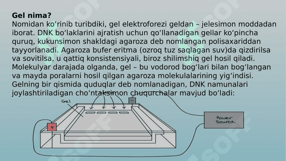 Gel elektroforez usuli 6