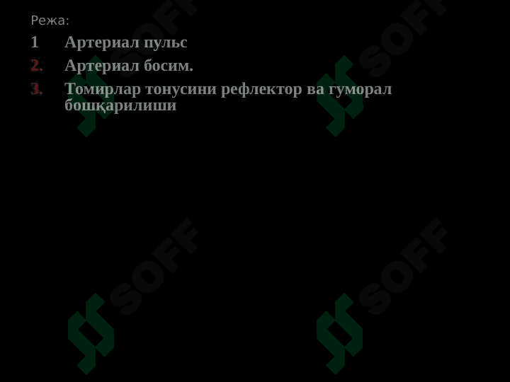 Qon tomir fiziologiyasi Gemodinamika asoslari 2