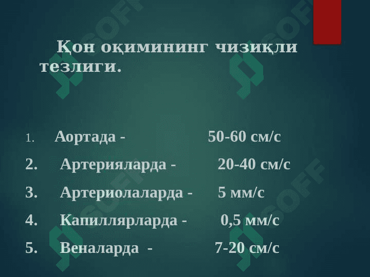 Qon tomir fiziologiyasi Gemodinamika asoslari 3