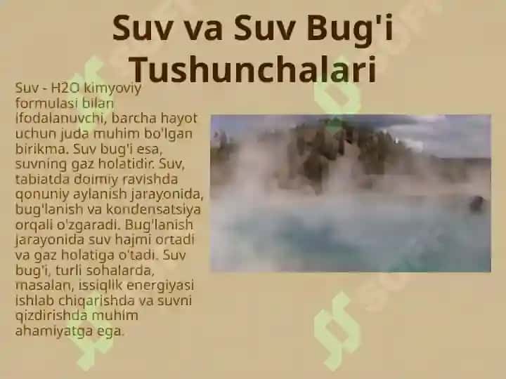 Suv Bug'i 2