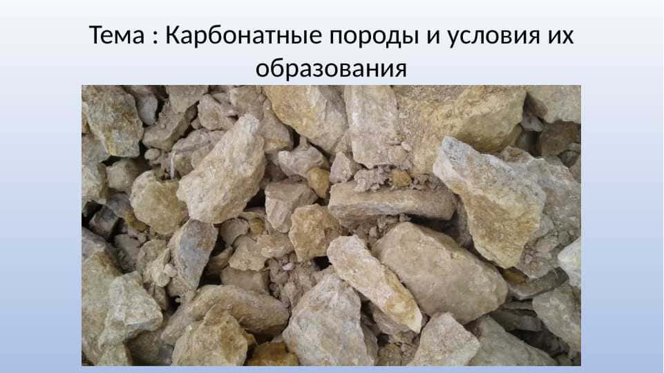 Карбонатные породы и условия их образования