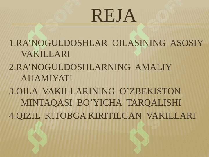 Ra’noguldoshlar  oilasining asosiy turkum va turlari 2