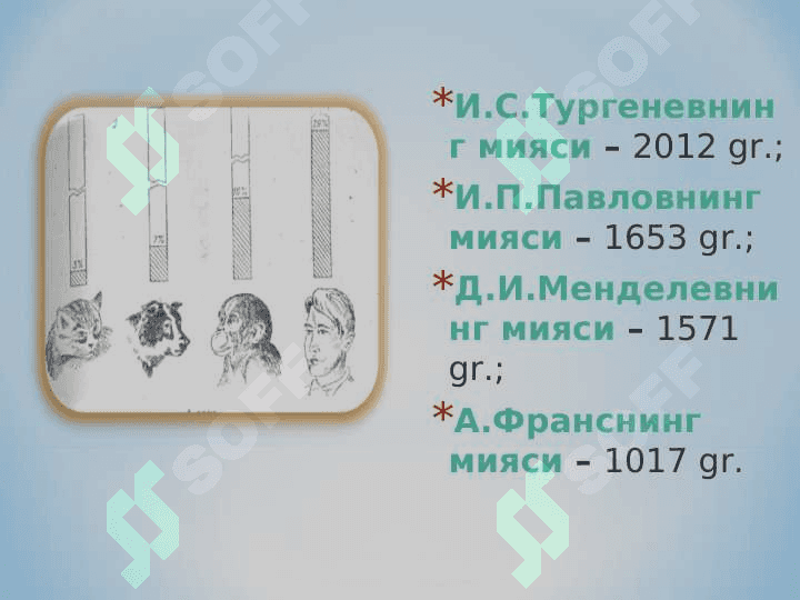 ПСИХИКА ХАҚИДА ТУШУНЧА 7