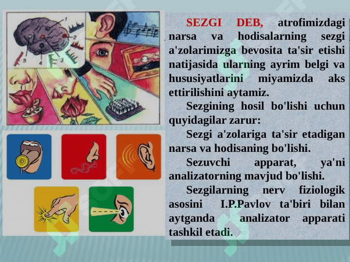 SEZGI 2