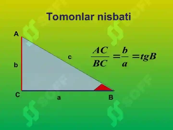 Burchaklar va tomonlarning munosabatlari 8