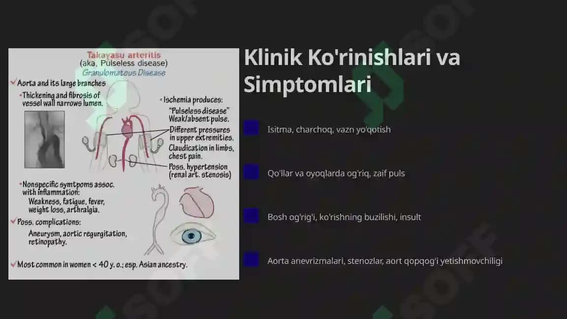 Takayasu Arteritining Etiologiyasi va Patogenezi 3
