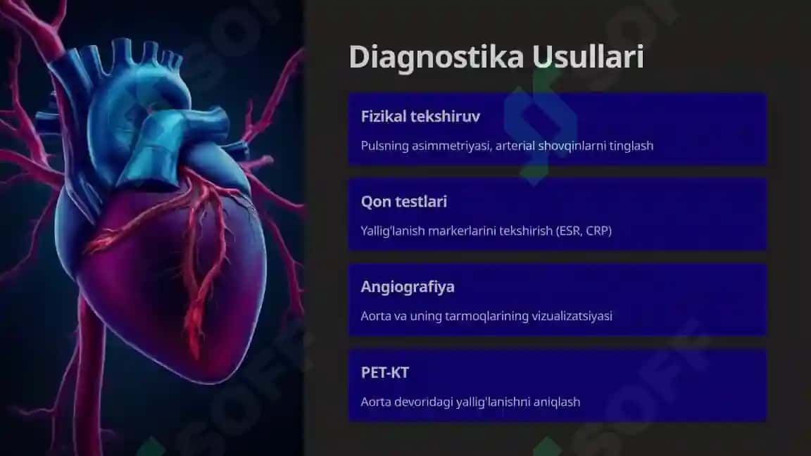 Takayasu Arteritining Etiologiyasi va Patogenezi 4