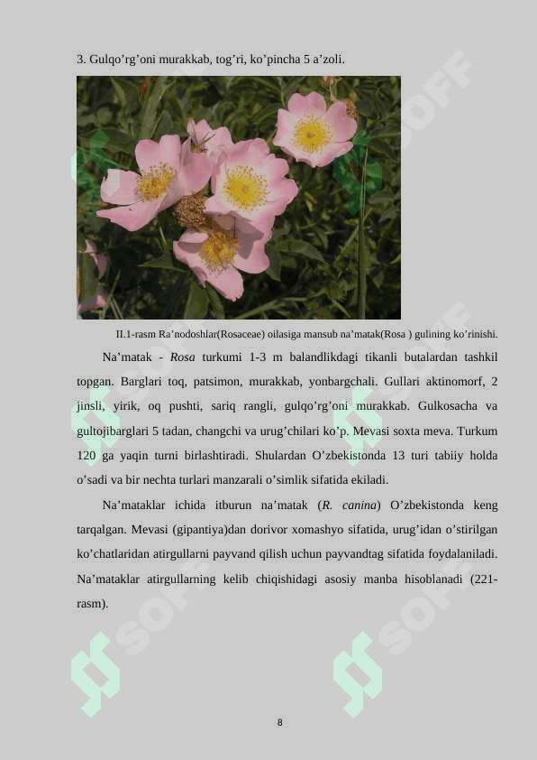 Ranodoshlar oilasi 8