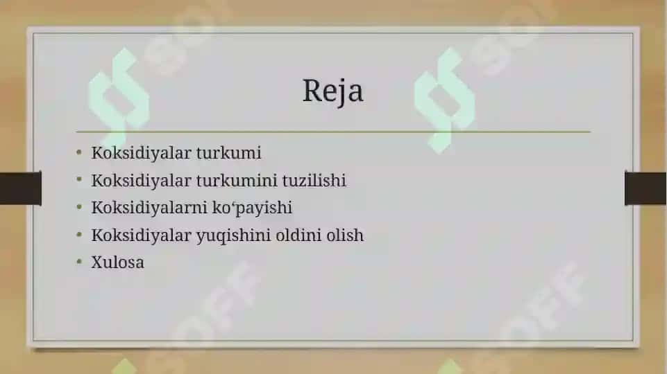 koksidiyalar slayd 2