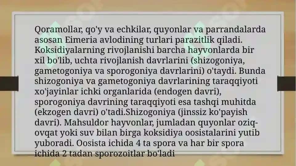 koksidiyalar slayd 5