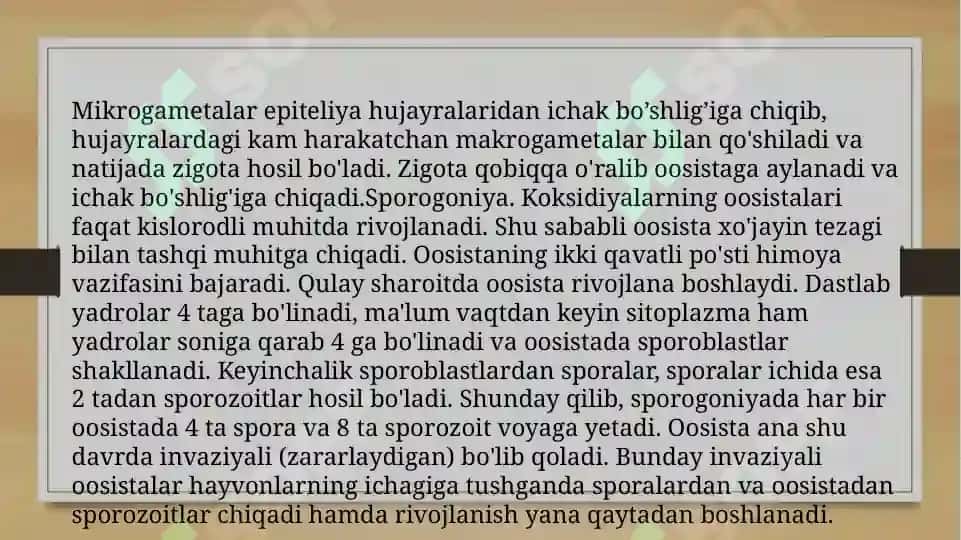 koksidiyalar slayd 8