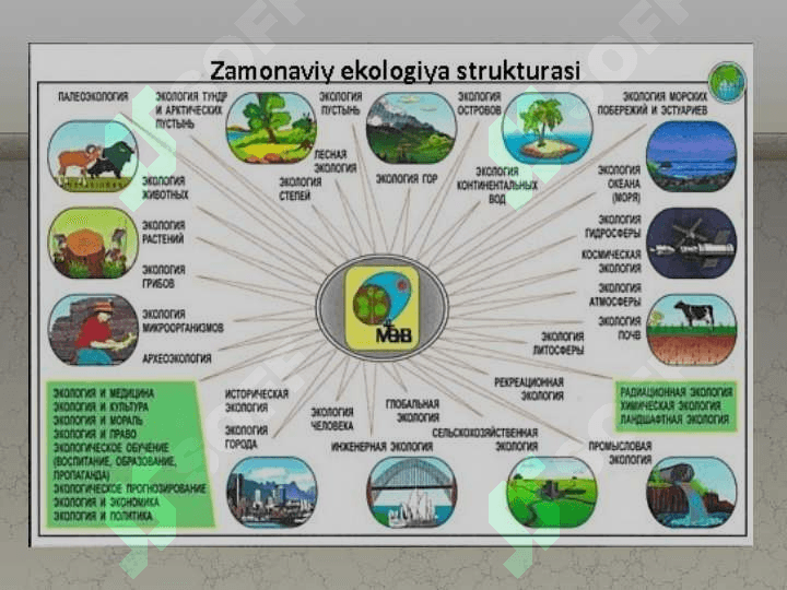 Ekologiya fanining nazariy asoslari 7