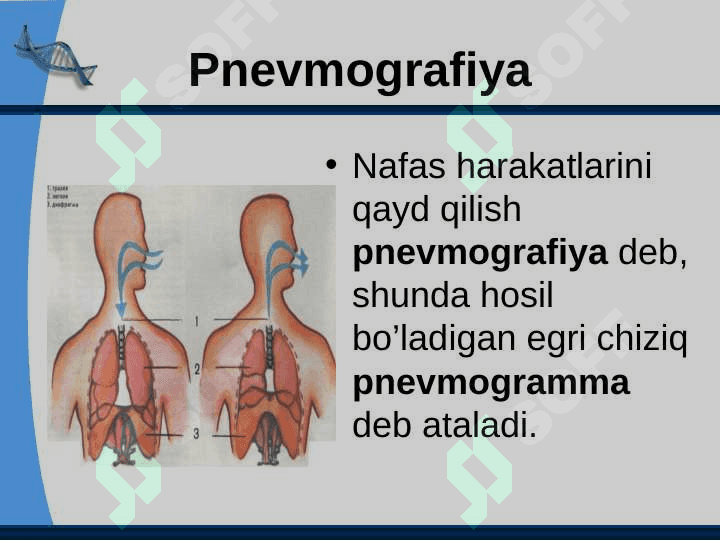 To'qimalarda gazlar diffuziyasi 4