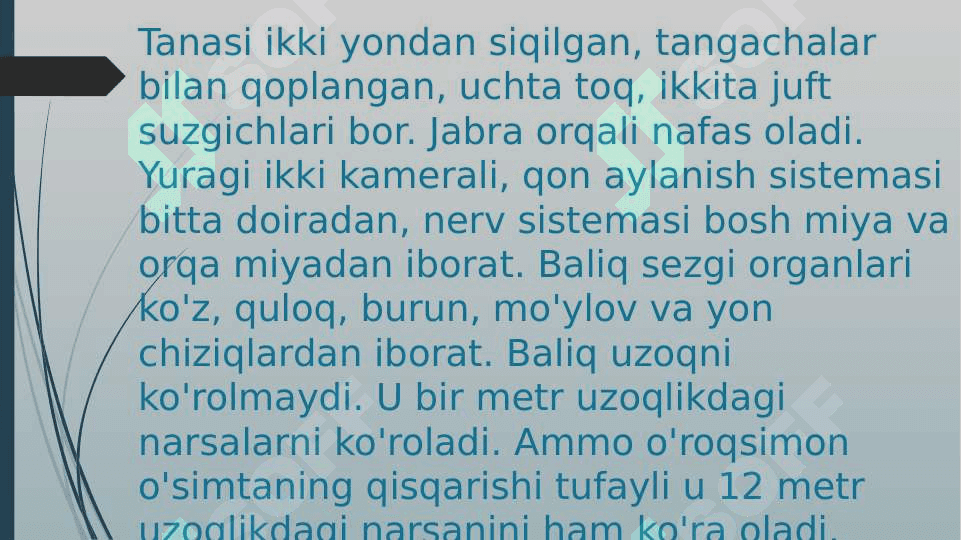 Karpsimon baliqlar sistematikasi 4