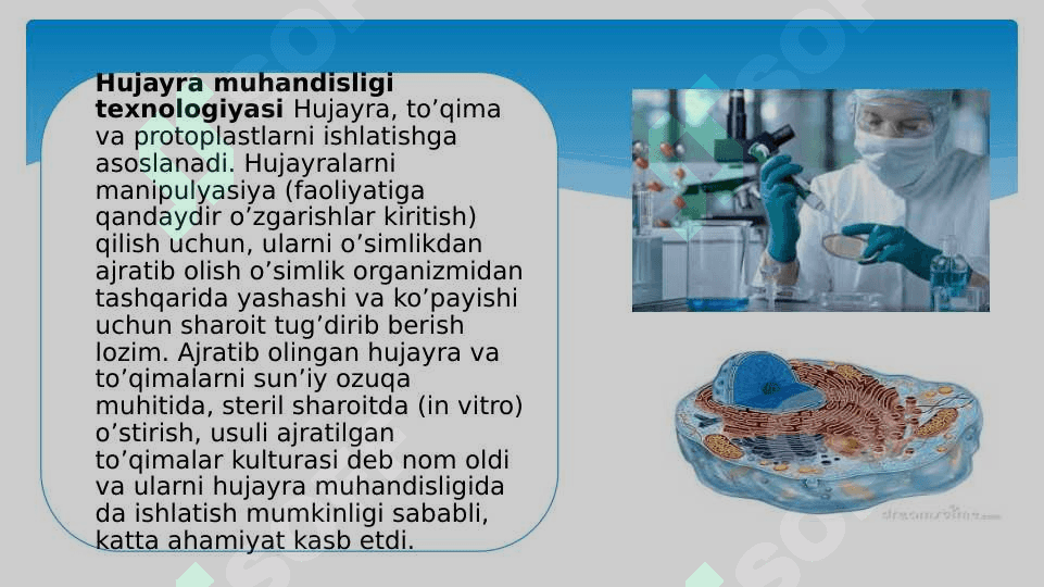 Hujayra biotexnologiyasi 2