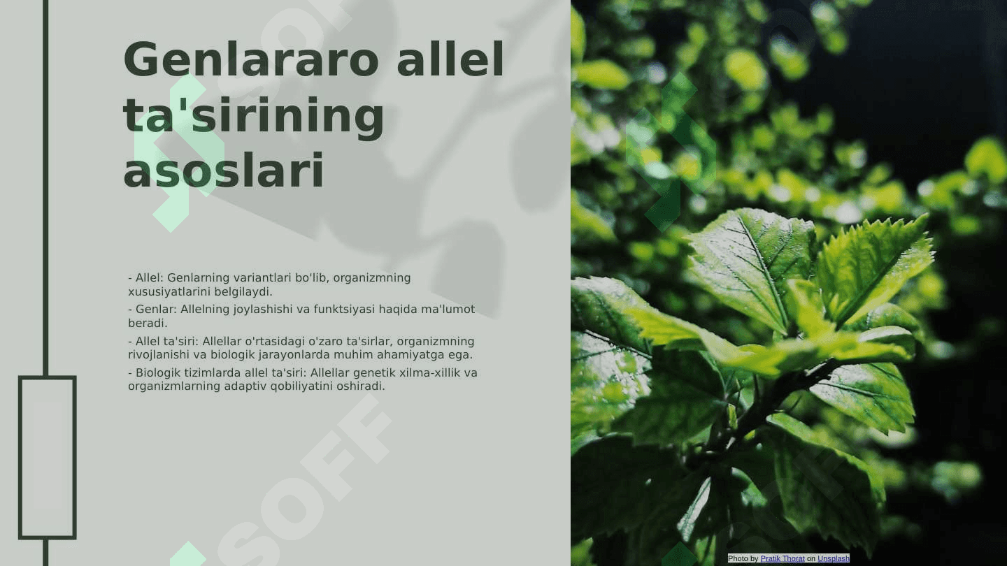 Allel va allel bo'lmagan genlarning o'zaro ta'sirini tahlil qilish 3