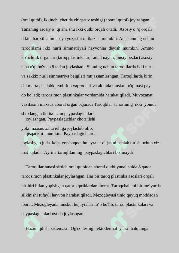 : “TAROQLILAR  (CTENOPHORA)  TIPI 4
