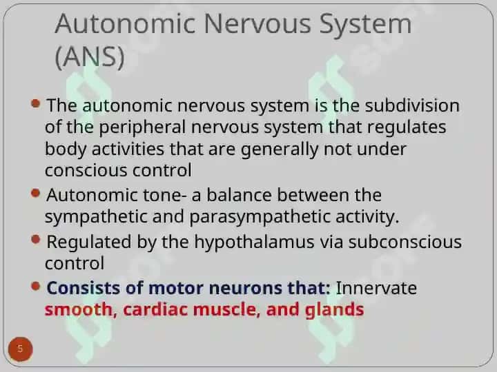 Autonomic Nervous System 5