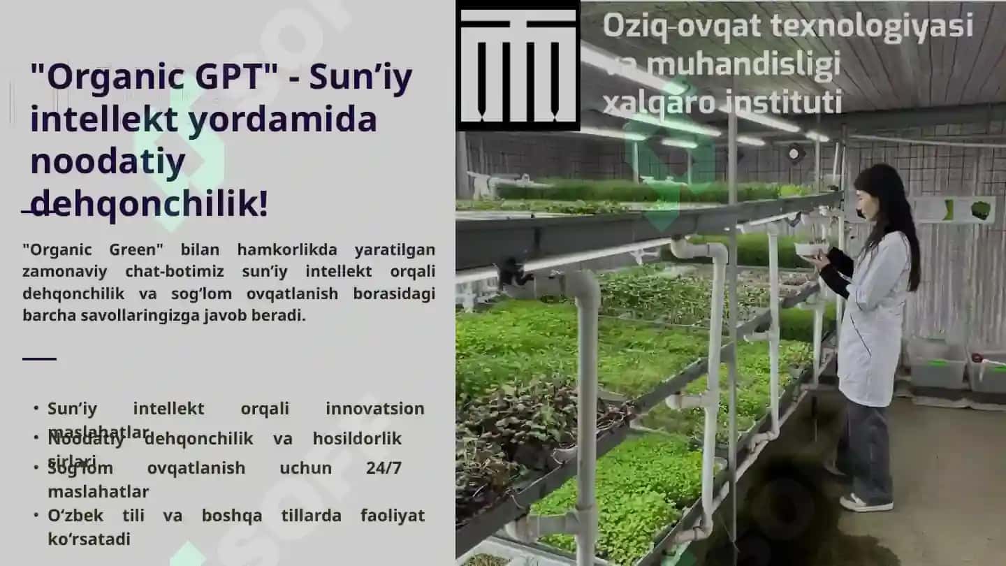 sunʼiy intellekt yordamida ishlovchi CHat bot 4