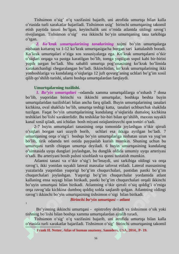 GAVDA SKELETI . KALLA SKELETI 3