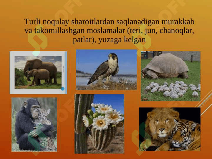 TUPROQ MUHITI OMILLARIGA ORGANIZMLARNING MOSLASHISHI 4