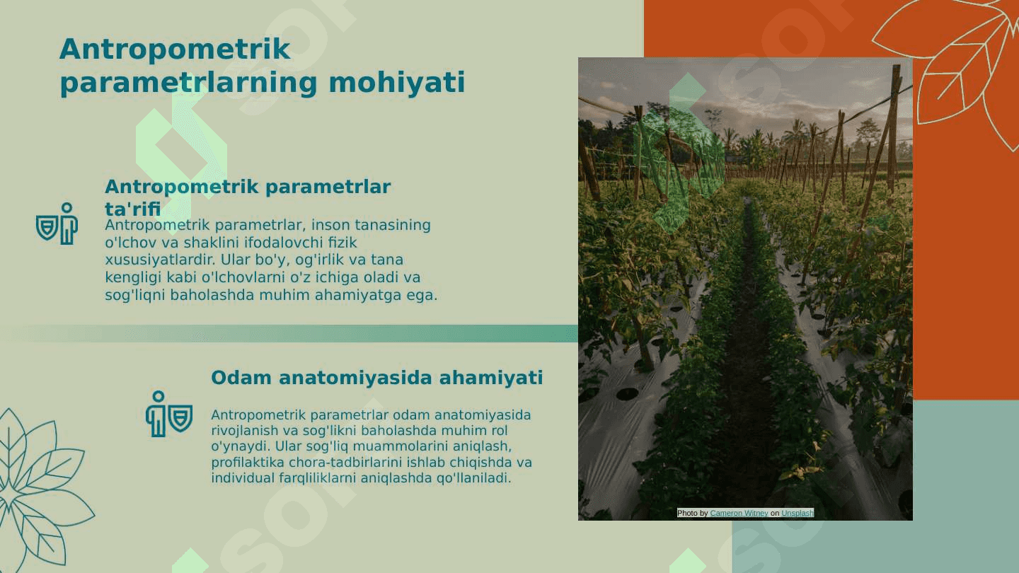 Odam anatomiyasining (antropometrik parametrlarining) muammoni ta'minlashdagi ahamiyati 3