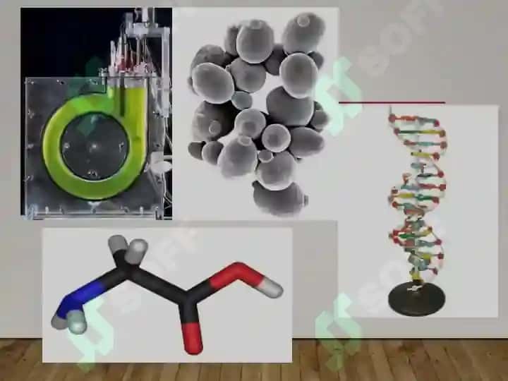 Genetika fani haqida tushuncha 3