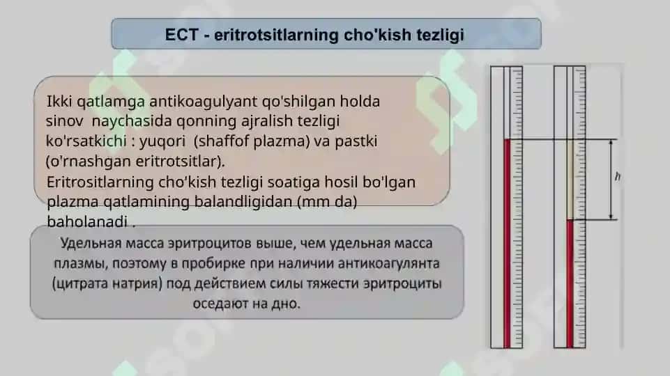 ECHT aniqlash usullari 2
