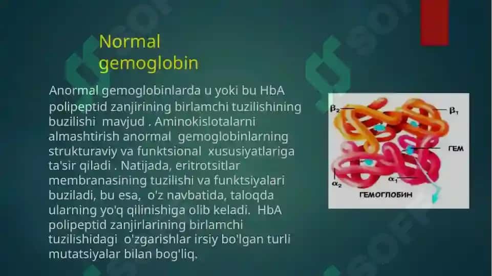 O'roqsimon hujayrali anemiya 2