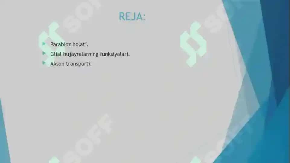 Parabioz holati Glial hujayralarning funksiyalari
Akson transporti 2