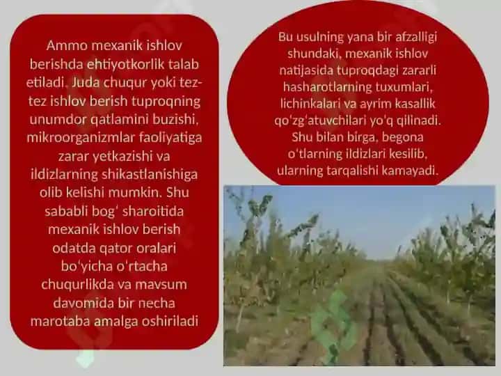 Bog‘qatororalariga ishlov berish 5