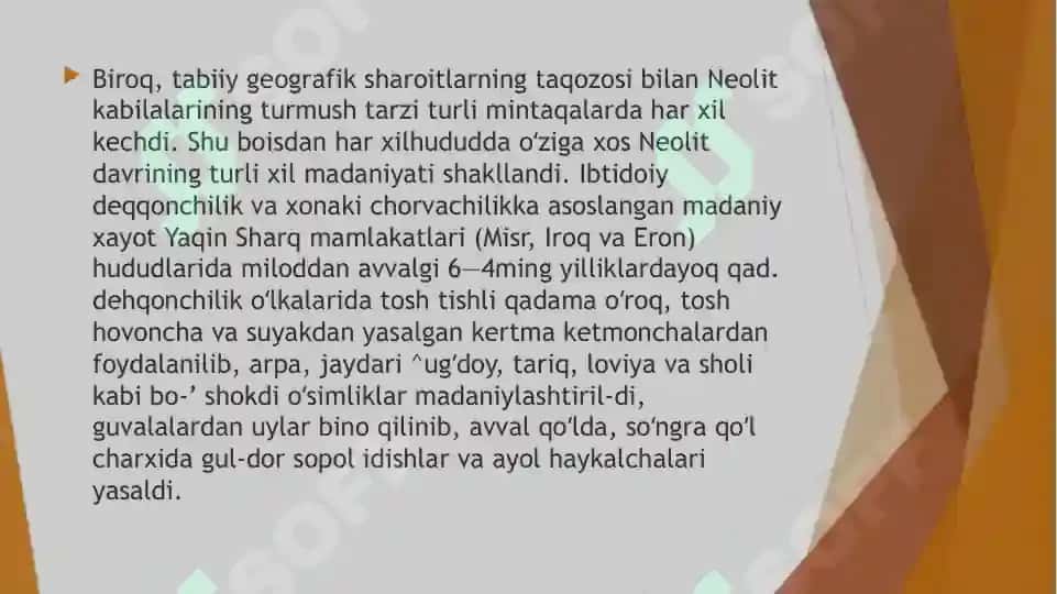 TOSH DAVRI TURAR JOYLARI 4