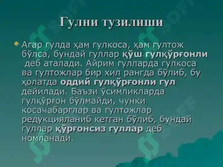 Gulning tuzilishi taqdimot 5
