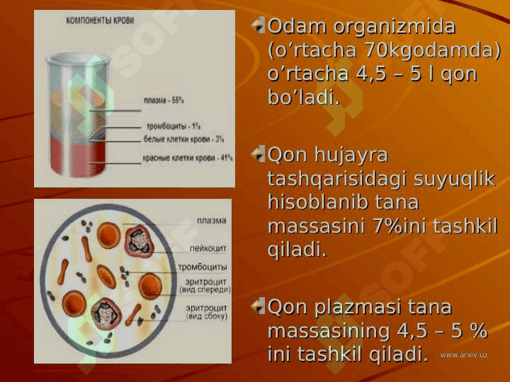 QON FIZIOLOGIYASI 8