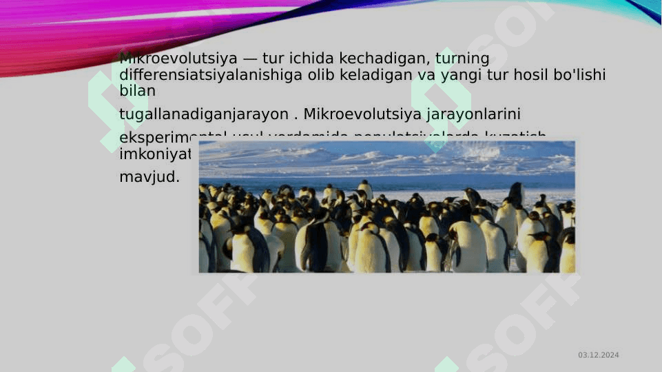 Populyatsiya. Tur. Evolyutsiyani elementar omillari 6