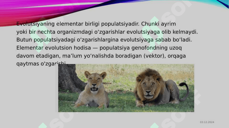 Populyatsiya. Tur. Evolyutsiyani elementar omillari 8