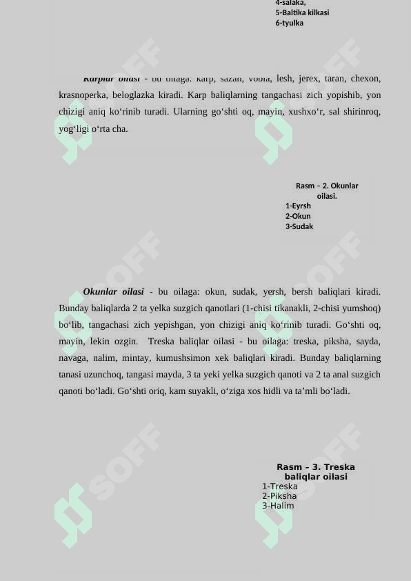 Baliqdan taomlar tayyorlashni o’rganish 5
