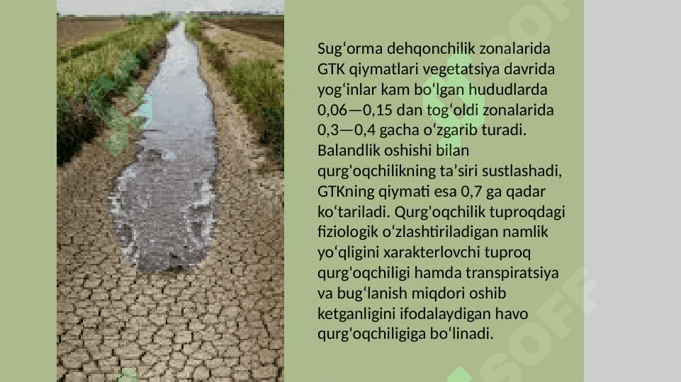 Qurg‘oqchilik va unga qarshi kurash 5