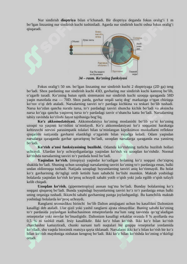 Analizatorlarning fiziologiyasi 3