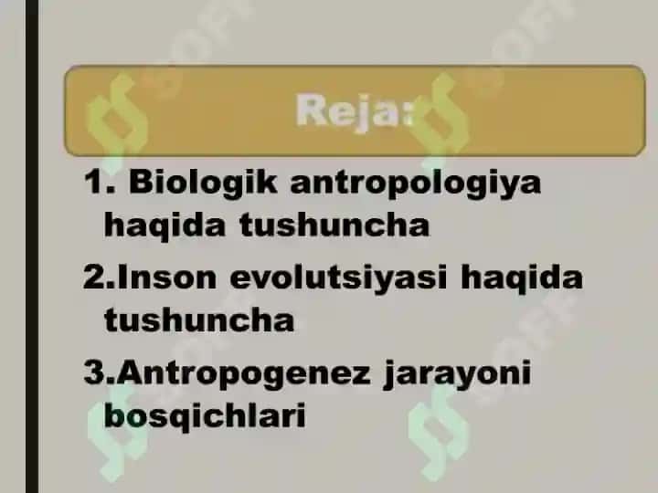 INSON EVOLUTSIYASI VA BIOLOGIK ANTROPOLOGIYA 2