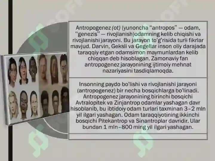 INSON EVOLUTSIYASI VA BIOLOGIK ANTROPOLOGIYA 4
