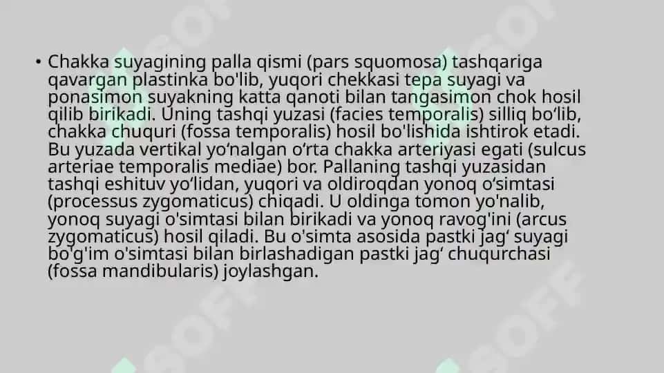 CHAKKA, YUQORI VA PASTKI JAG' SUYAGI 4