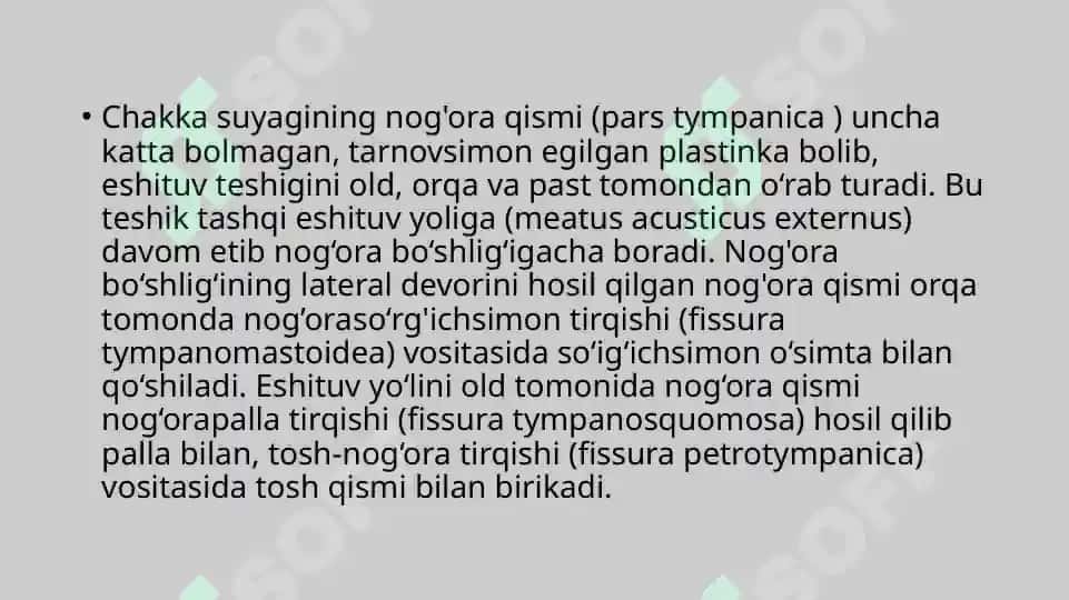 CHAKKA, YUQORI VA PASTKI JAG' SUYAGI 6