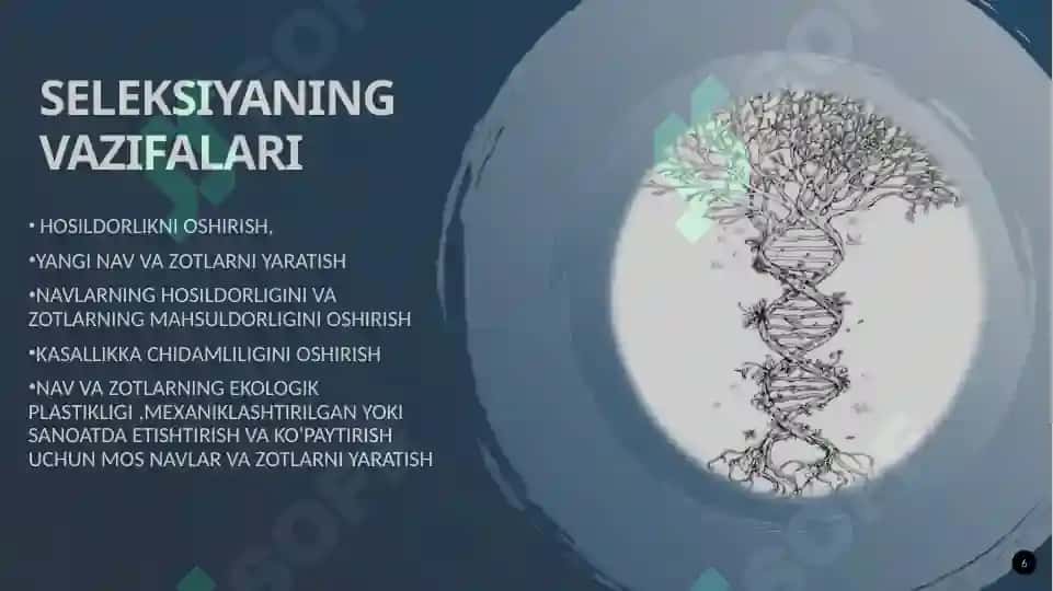 Seleksiyaning genetik asoslari 6