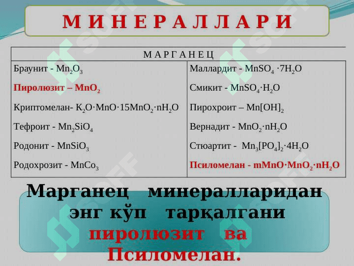 MARGANES. Taqdimot. 8